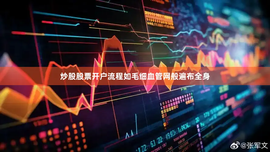 炒股股票开户流程如毛细血管网般遍布全身